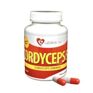 CORDYCEPS sinensis 50% polysacharidov - 90 cps