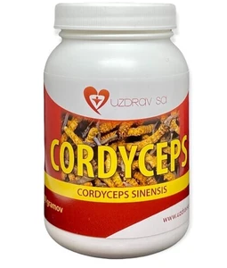 VÝPREDAJ - CORDYCEPS sinensis - 100g