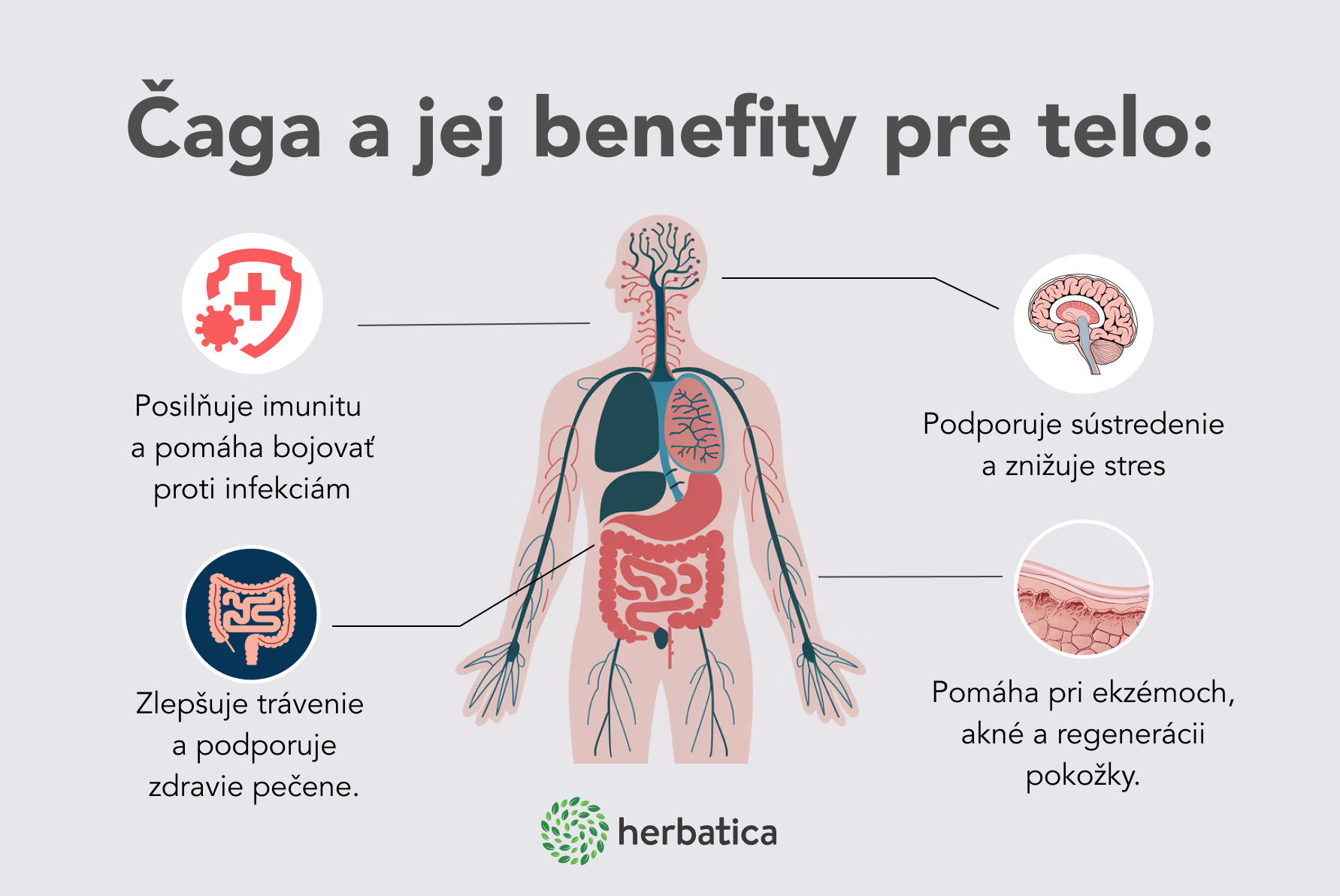 čaga infografika