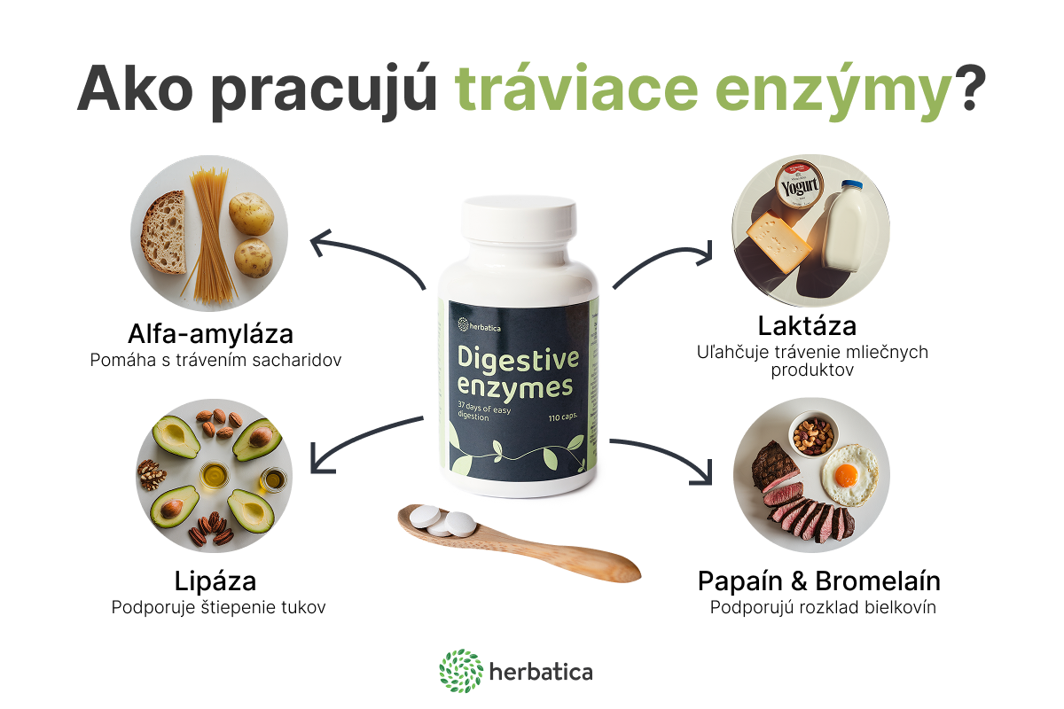 infografika SK Ako pracuju traviace enzymy