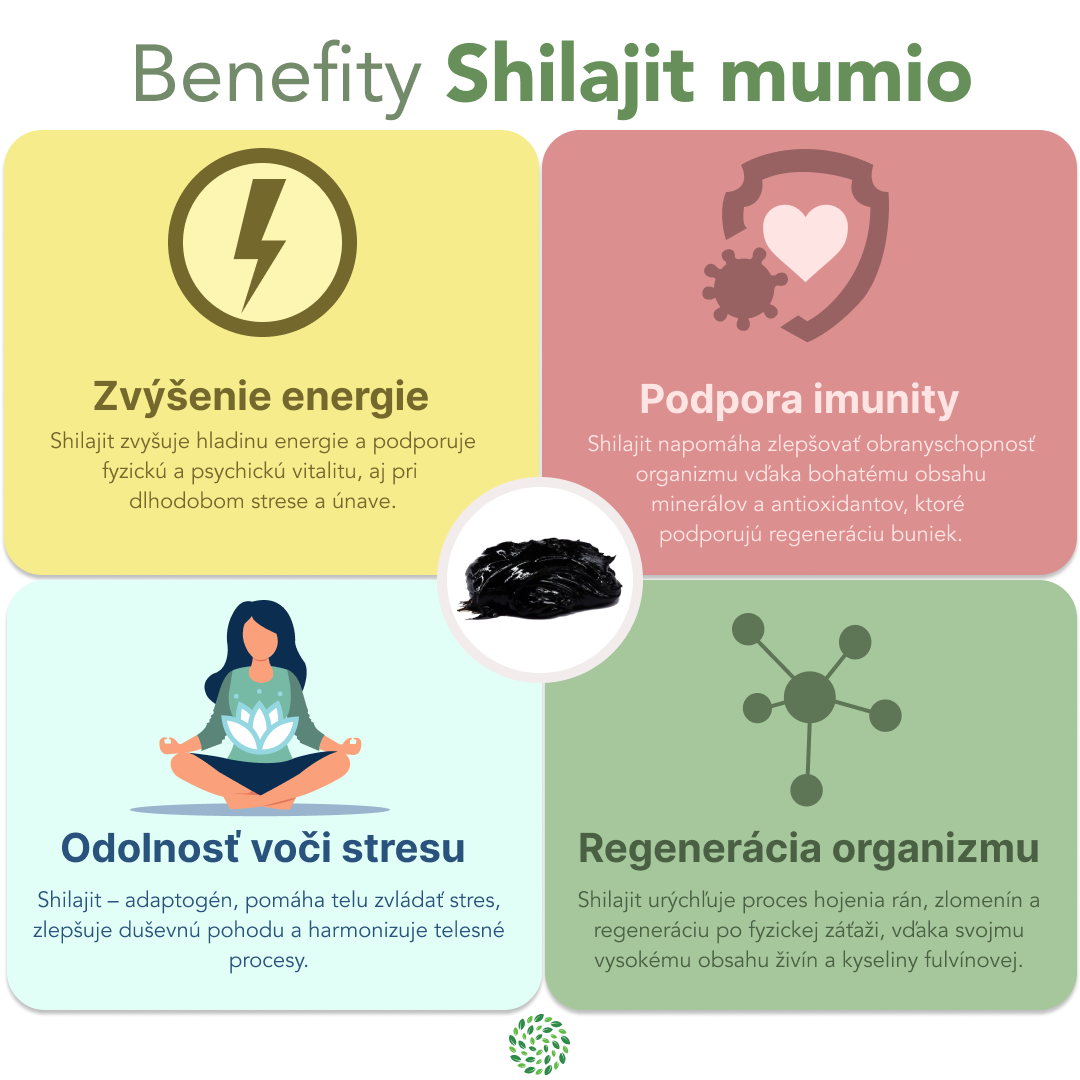 mumio shilajit infografika benefity pre zdravie