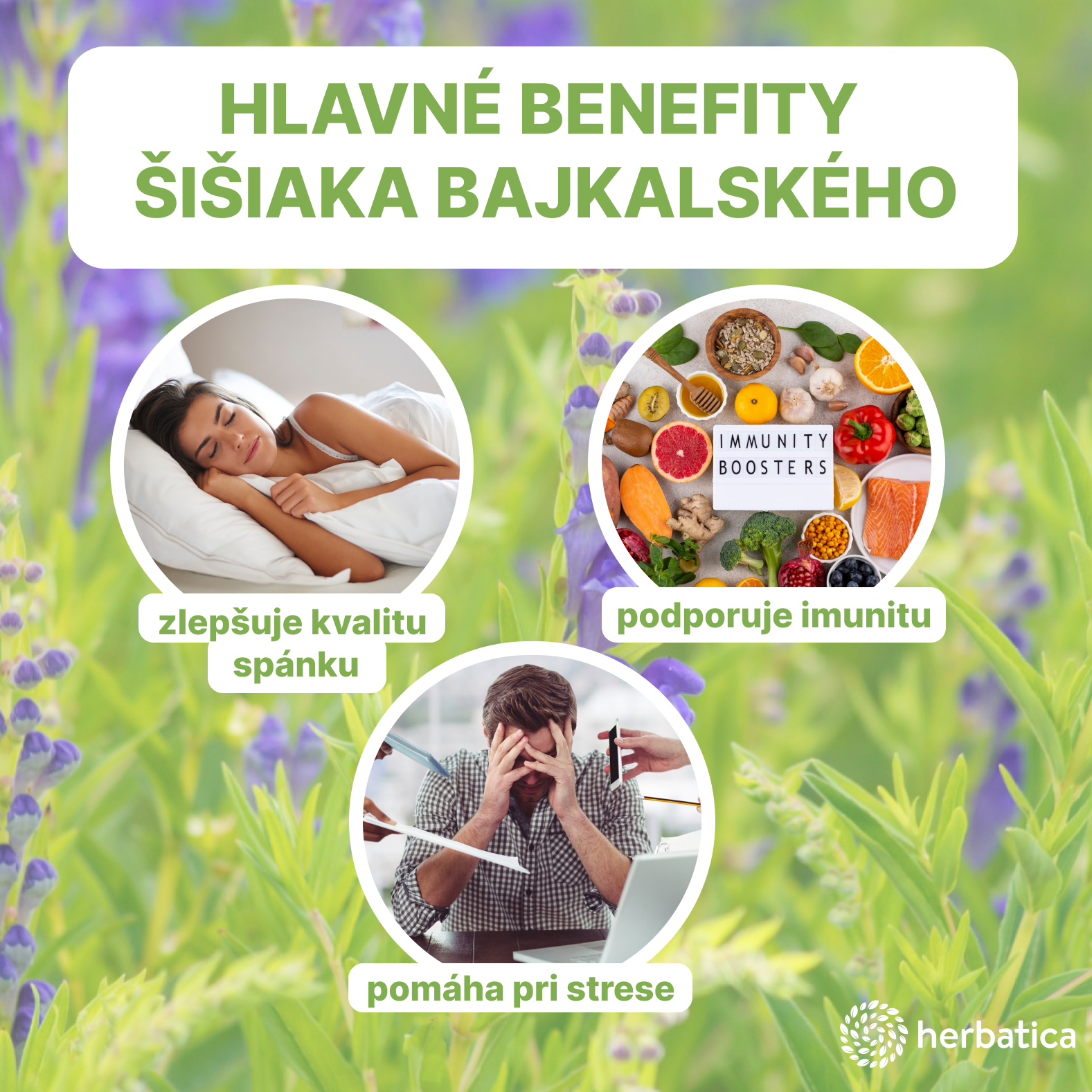 sk sisiak hlavne benefity