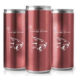 ESSENS ENERGY DRINK- 24 ks