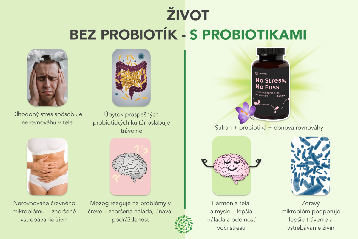 INFOGRAFIKA ŠAFRÁN S PROBIOTIKAMI