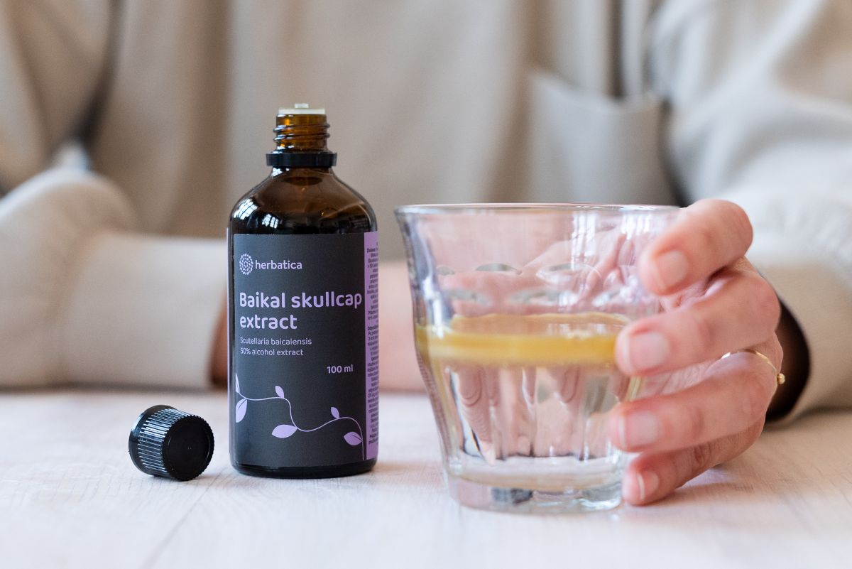 Sisiak bajkalsky tinktura Herbatica
