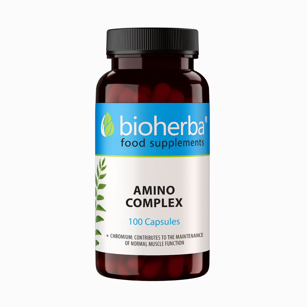 Amino komplex – 100 kapsúl – Bioherba