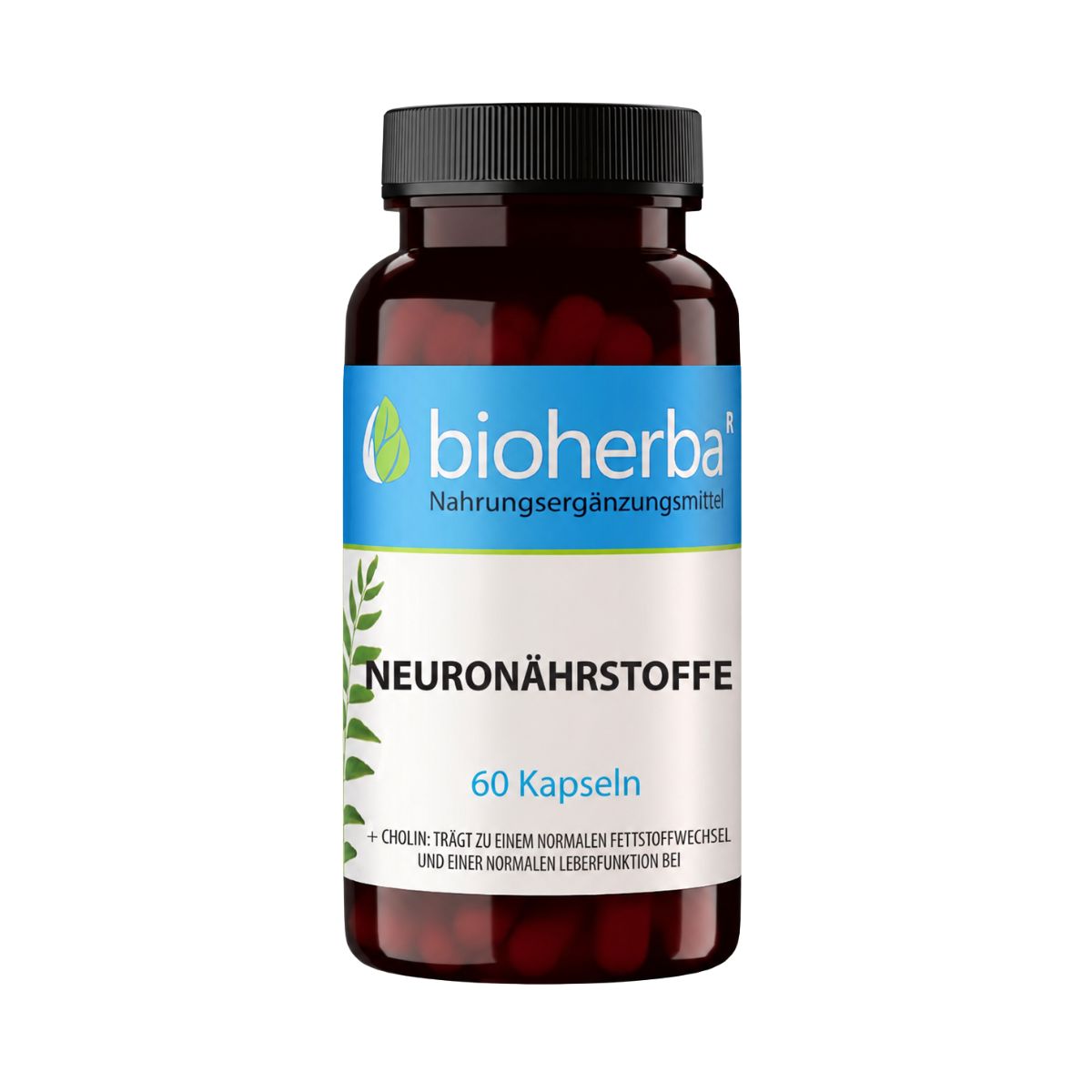Neuroživiny – 60 kapsúl – Bioherba
