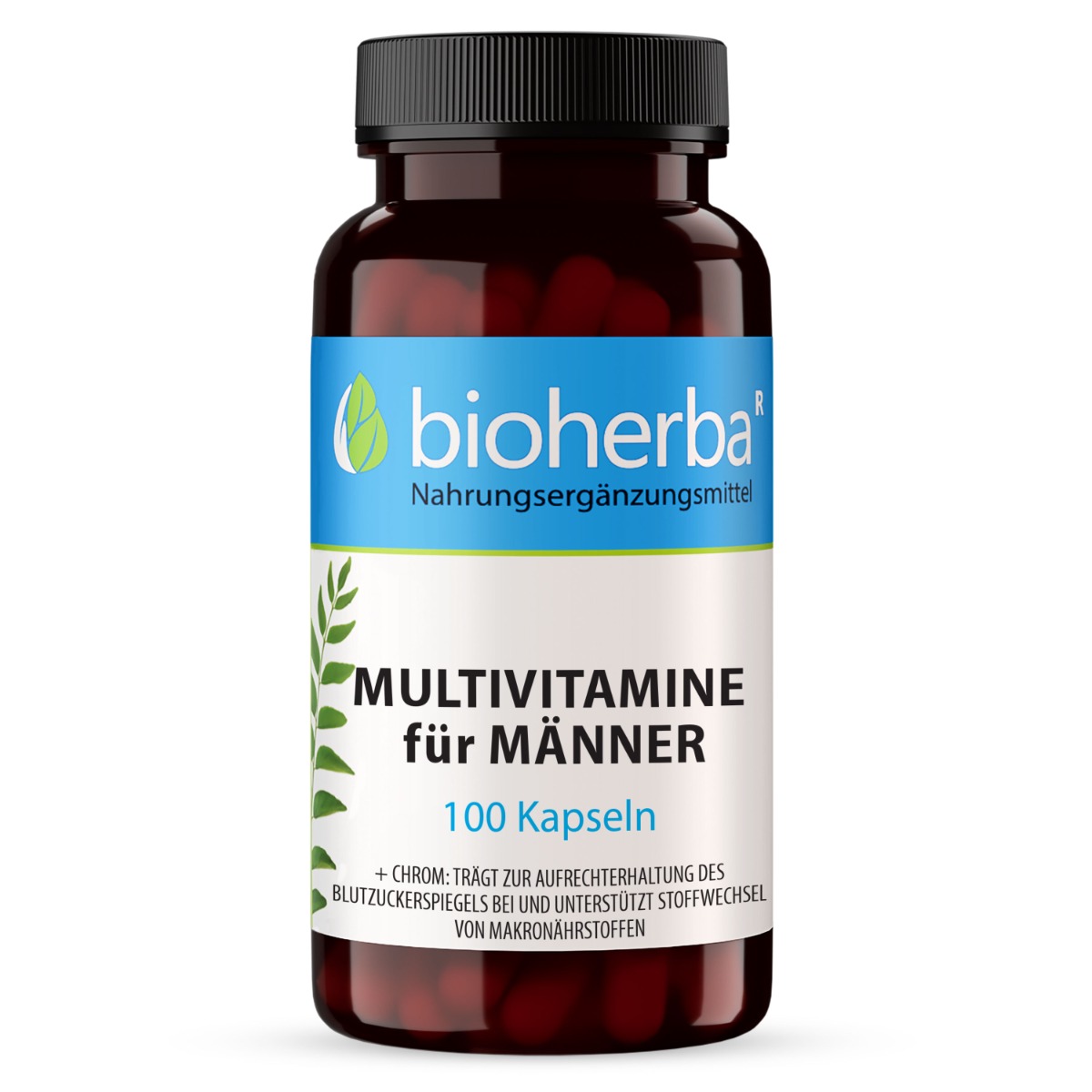 Multivitamín pre mužov – 100 kapsúl – Bioherba