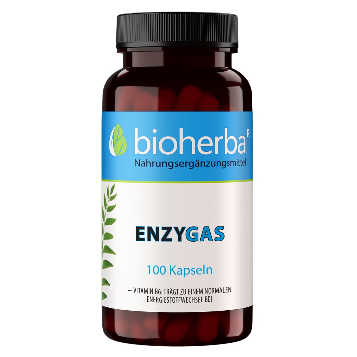 Anti-Gas – enzýmy proti nadúvaniu – 100 kapsúl – Bioherba