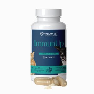 IMMUNUP - podpora imunity pre psy a mačky 60 kapsúl - Valsam Vet