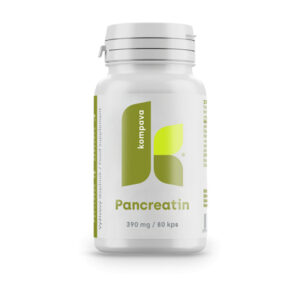 Kompava Pancreatin 390 mg/80 kps