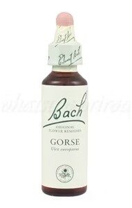 Výpredaj - Gorse - Útesovec európsky 20 ml - bachove kvapky
