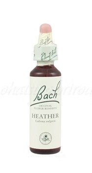 Výpredaj - Heather - Vres škótsky 20 ml - bachove kvapky