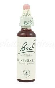 Výpredaj - Honeysuckle - Zimolez kozí list 20 ml - bachove kvapky