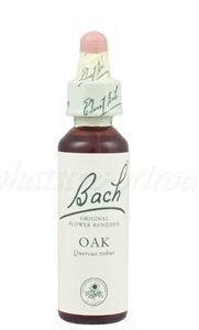 Výpredaj - Oak - Dub mohutný 20 ml - bachove kvapky