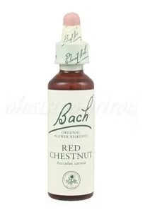 Výpredaj - Red Chestnut - Červený gaštan 20 ml - bachove kvapky