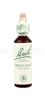 Výpredaj - Wild Oat - Stoklas konáristý 20 ml - bachove kvapky