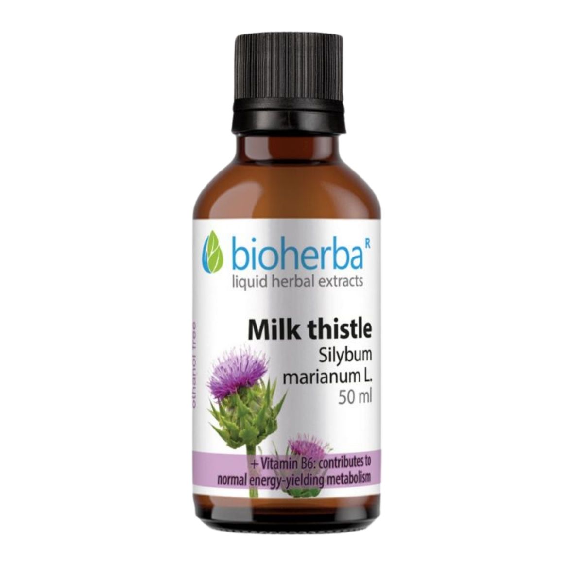 Pestrec mariánsky (Silybum marianum) kvapky – tinktúra – 50 ml – Bioherba