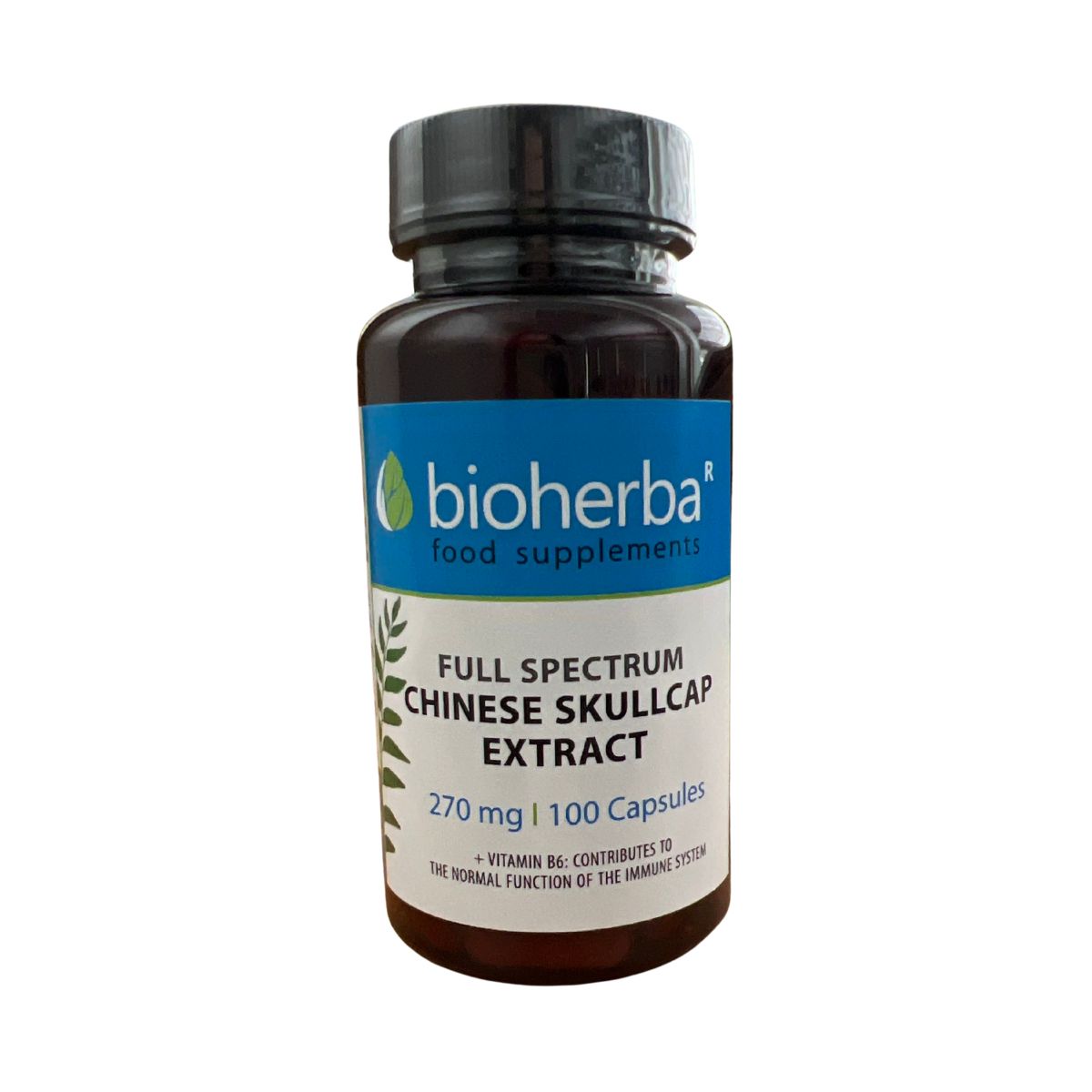 Šišiak bajkalský extrakt 270 mg – 100 kapsúl – Bioherba