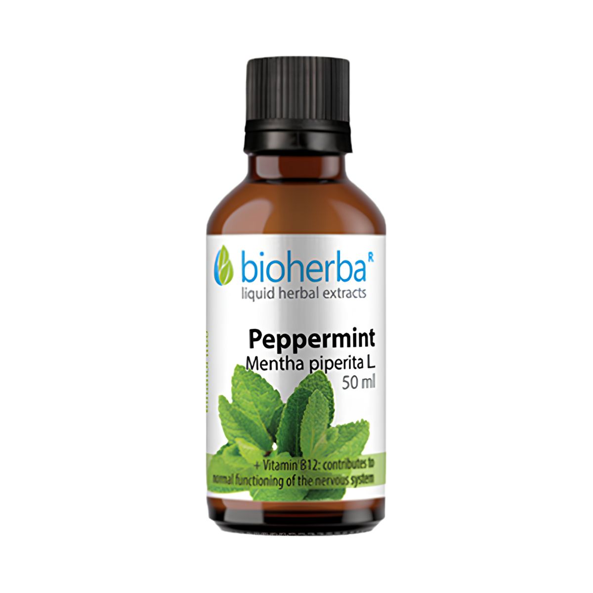 Mäta pieporná - tinktúra kvapky - 50 ml - Bioherba
