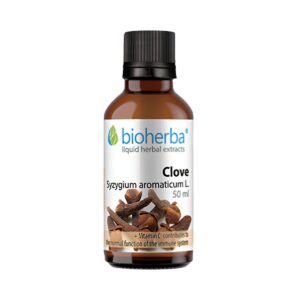 Klinček - tinktúra kvapky - 50 ml - Bioherba
