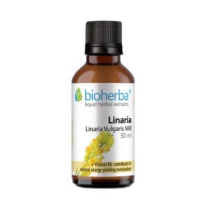 Ľanovník - tinktúra kvapky - 50 ml - Bioherba