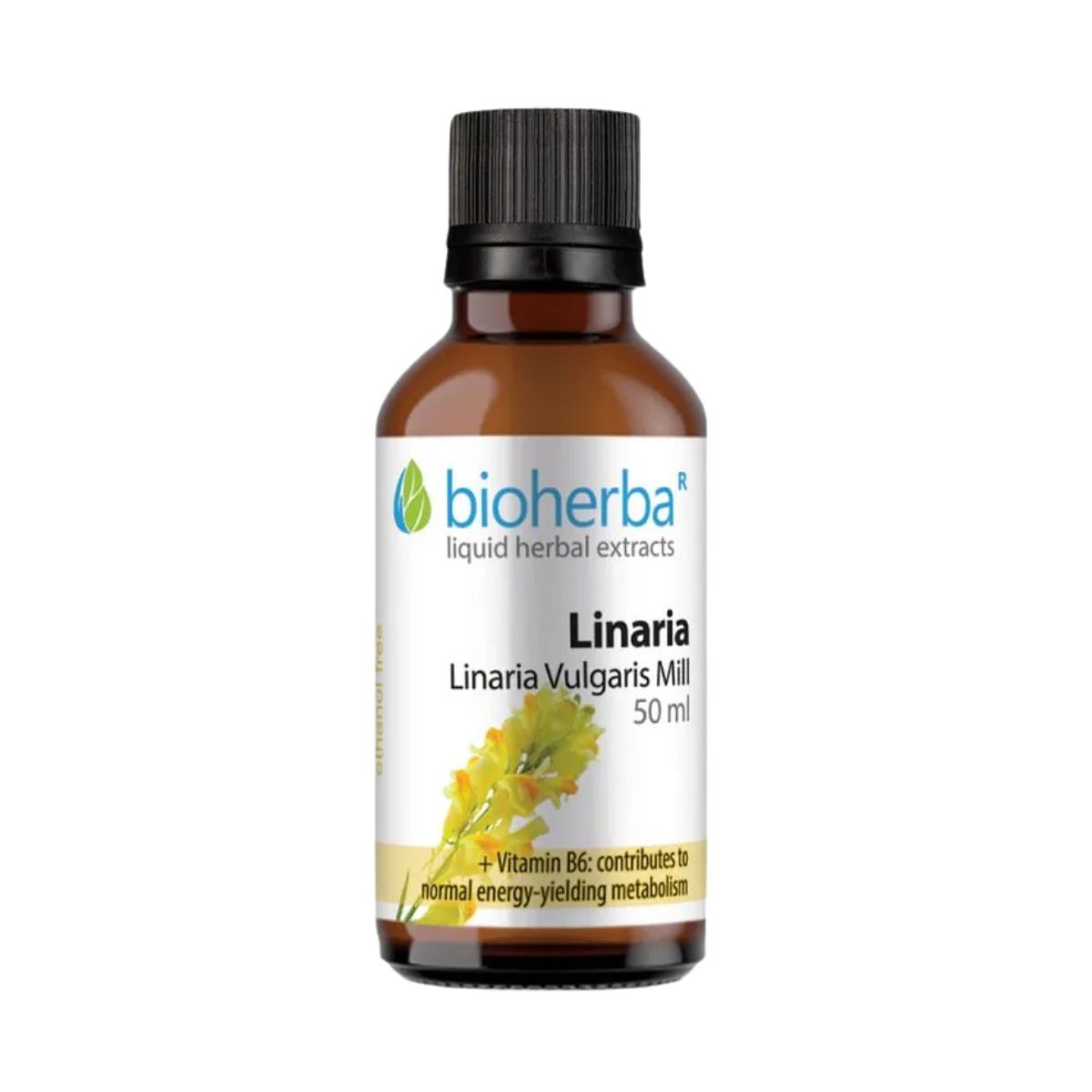 Ľanovník - tinktúra kvapky - 50 ml - Bioherba