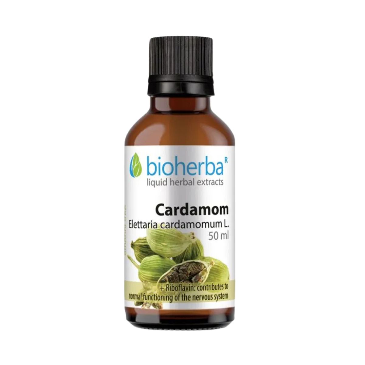 Kardamóm - tinktúra kvapky - 50 ml - Bioherba