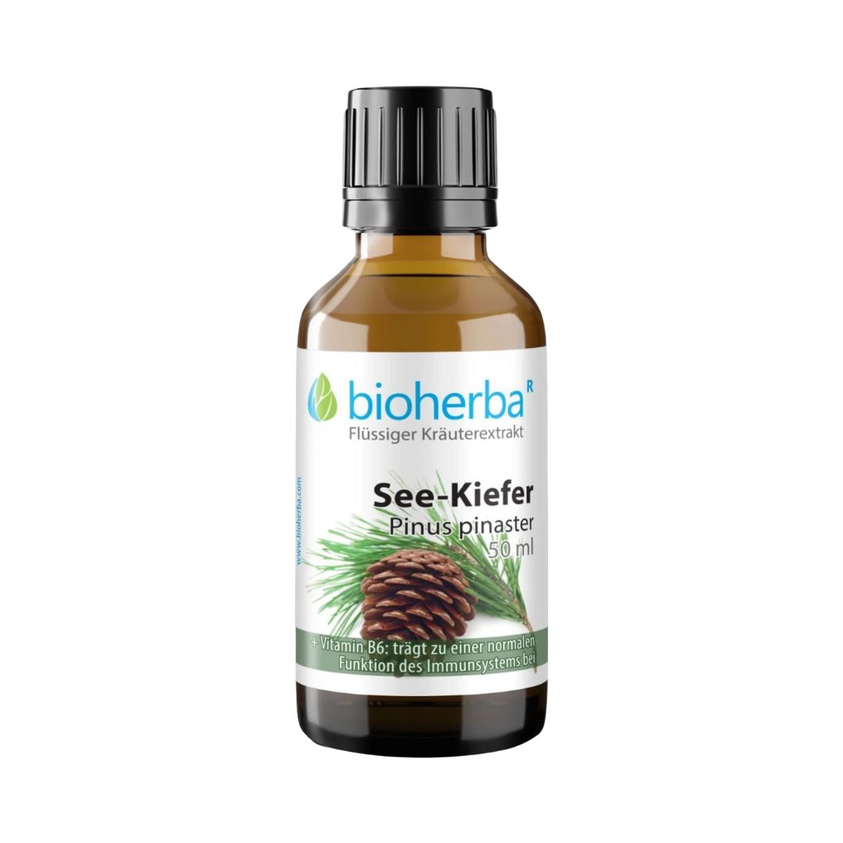 Borovica prímorská - tinktúra kvapky - 50 ml - Bioherba