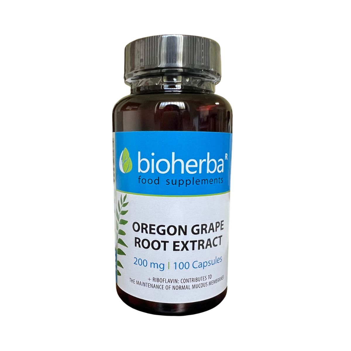 Mahónia cezmínolistá - 100 kapsúl - Bioherba