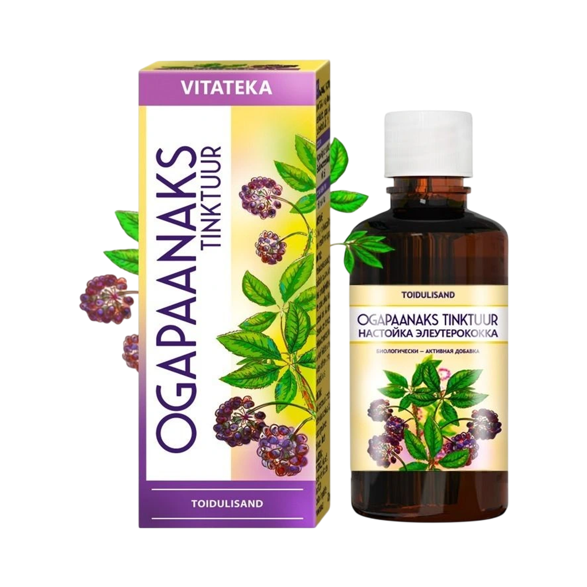 Tinktúra z koreňa eleuterokoka – 25 ml – Vitateka