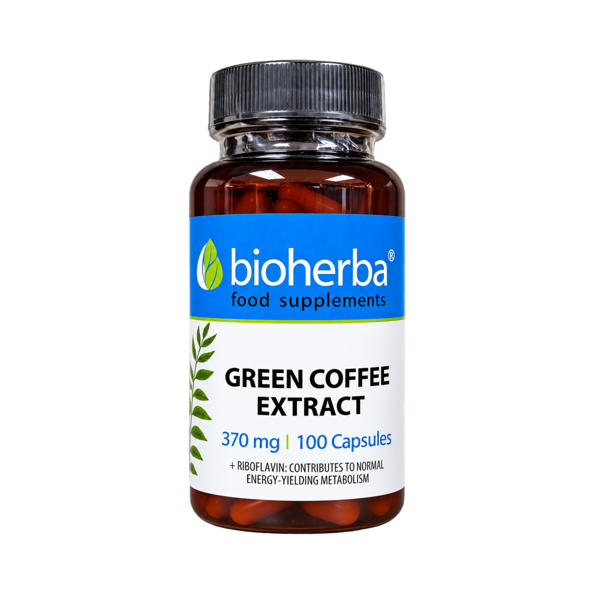 Zelená káva extrakt 370 mg – 100 kapsúl – Bioherba
