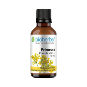 Prvosienka (Primula veris) kvapky – tinktúra – 50 ml – Bioherba