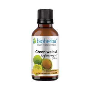 Zelený vlašský orech (Juglans regia) kvapky – tinktúra – 50 ml – Bioherba