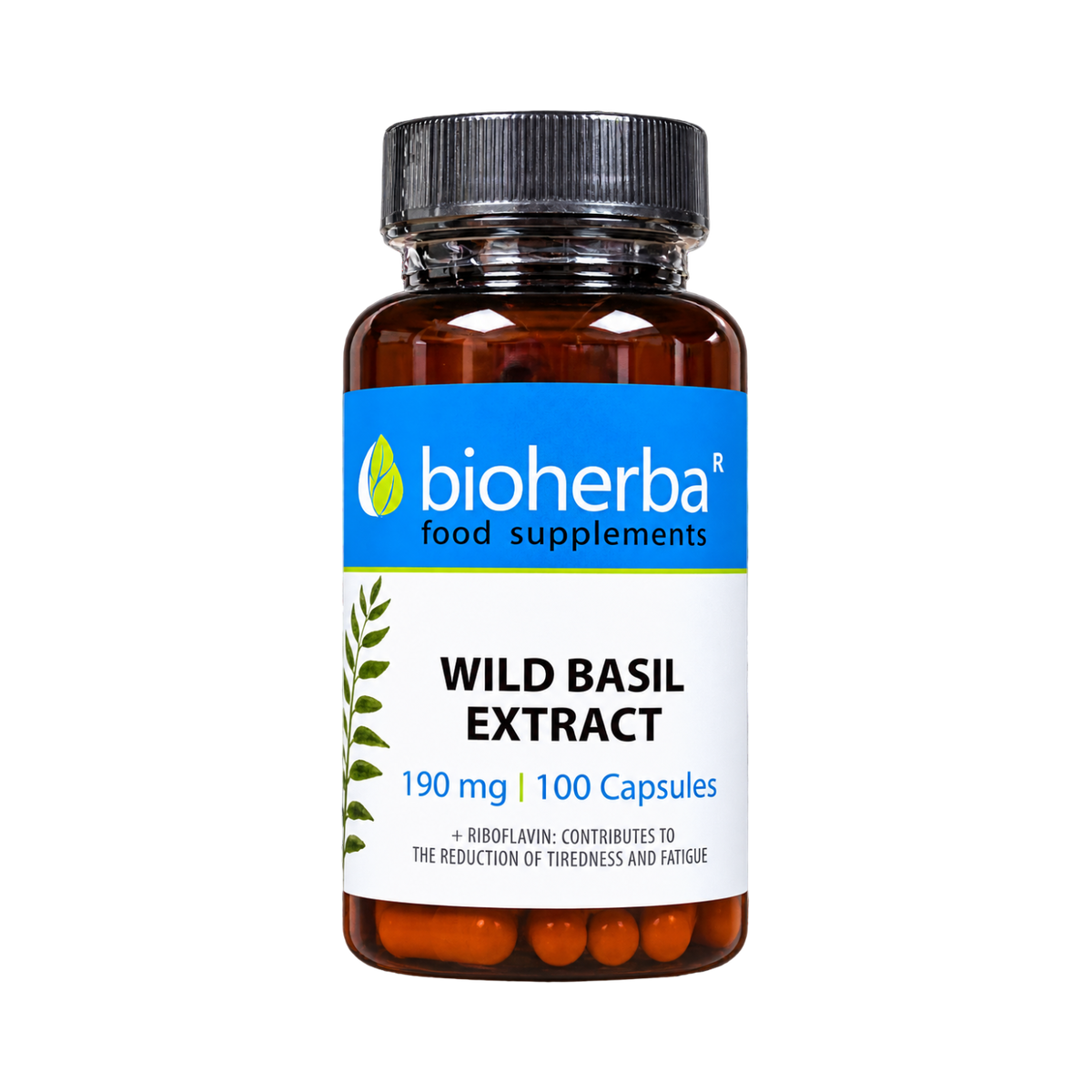 Extrakt z divej bazalky 190 mg – 100 kapsúl – Bioherba