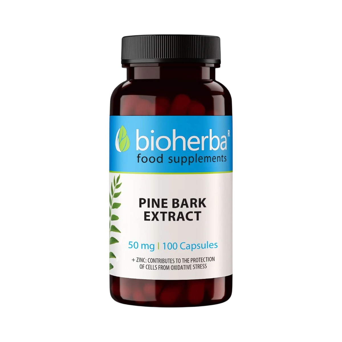 Extrakt z borovicovej kôry 50 mg - 100 kapsúl - Bioherba