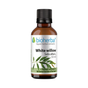 Vŕba biela - tinktúra kvapky - 50 ml - Bioherba
