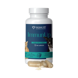 IMMUNUP - podpora imunity pre psy a mačky 60 kapsúl - Valsam Vet